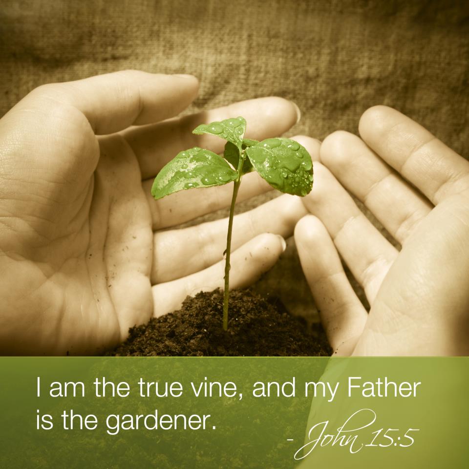 God�s Little Daughter Pengharapan yang Ideal