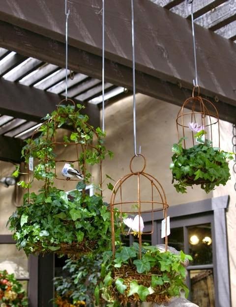 zen garden ideas upright green plant zen garden ideas upright green plant