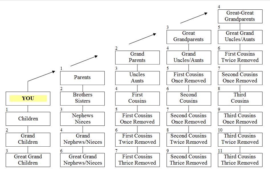 Chart Of Cousins Once Removed