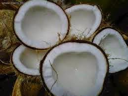 KELAPA SANTAN