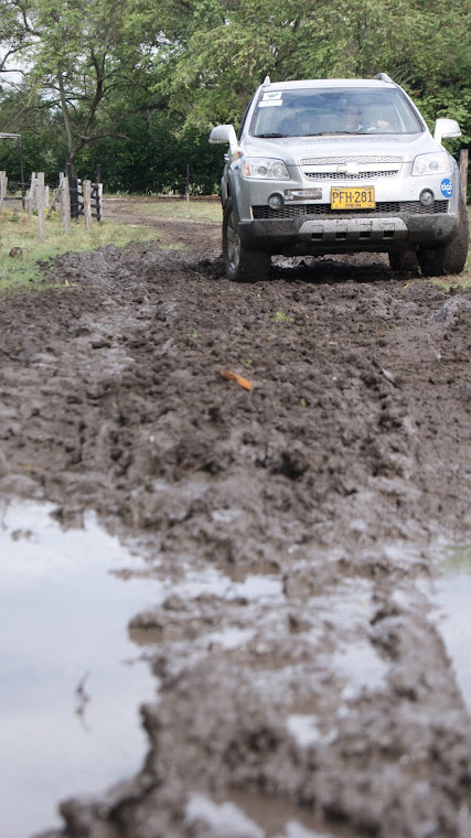 Chevrolet Caminos