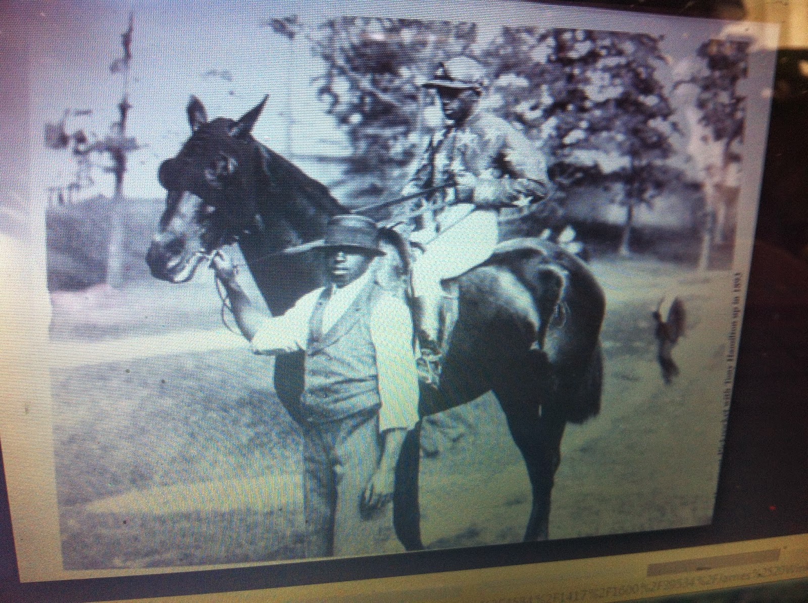 THE BLACK SOCIAL HISTORY BLACK SOCIAL HISTORY AFRICAN AMERICAN