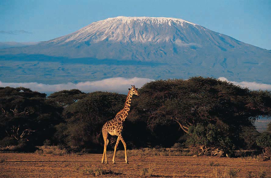 Mountain Pictures: Mountains Kilimanjaro