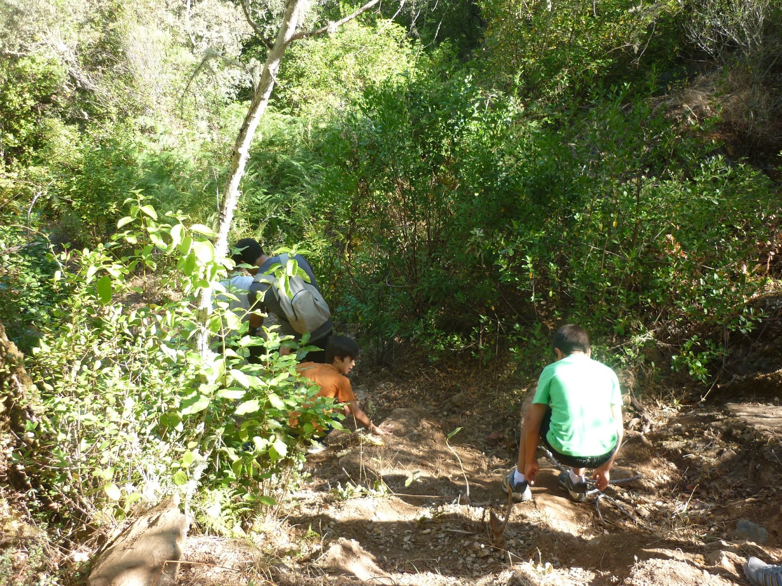Locandares Amigos Del Senderismo Ruta Barranco Dun Dun Cortelazor Huelva 11 07 2015
