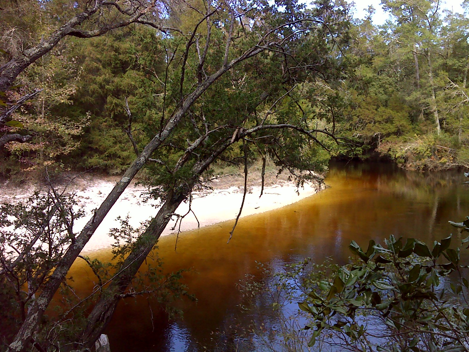 Heart and Sole Hiking Blackwater River and Hurricane Lake