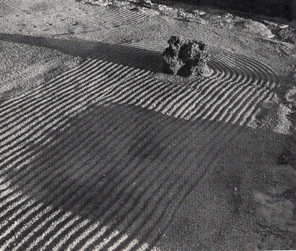 louie, louie: March 2012