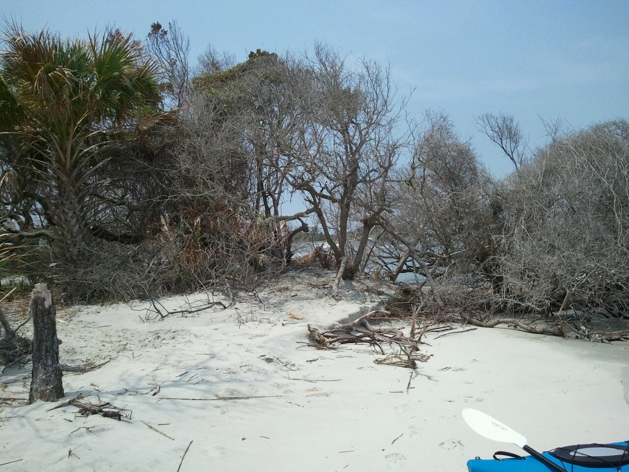 Little Tybee