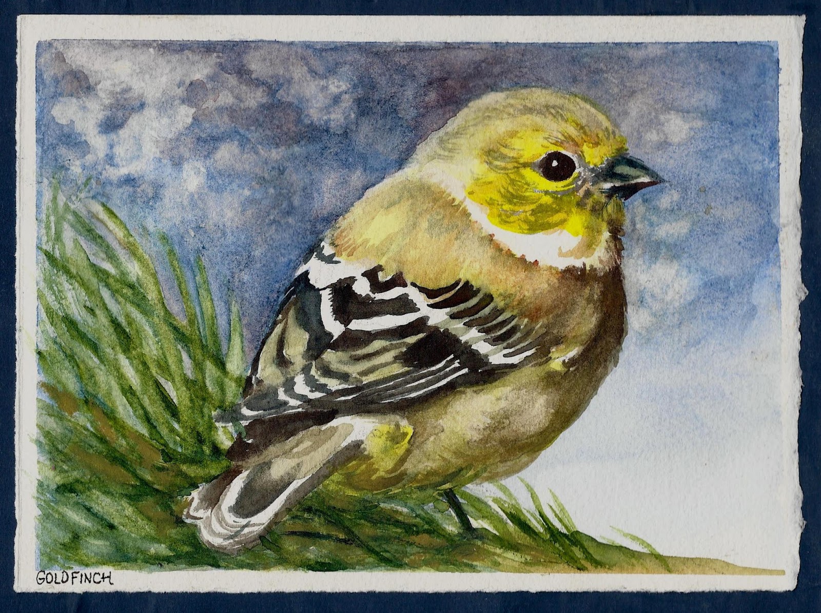 Goldfinch - 52 Weeks of Watercolor Birds #Watercolor #WatercolorBirds #