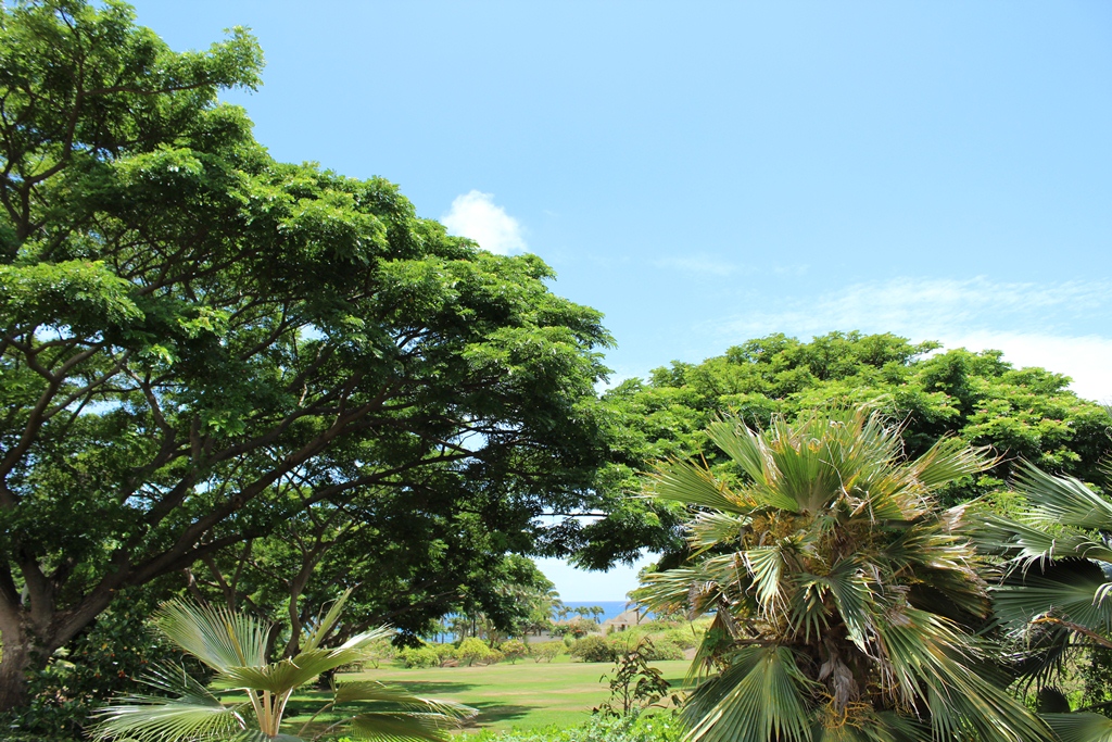 Doug S Photo Site Kauai National Tropical Botanical Garden