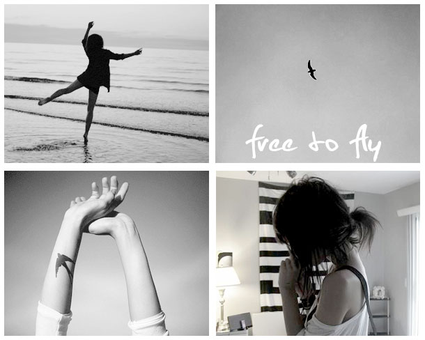 Free to fly