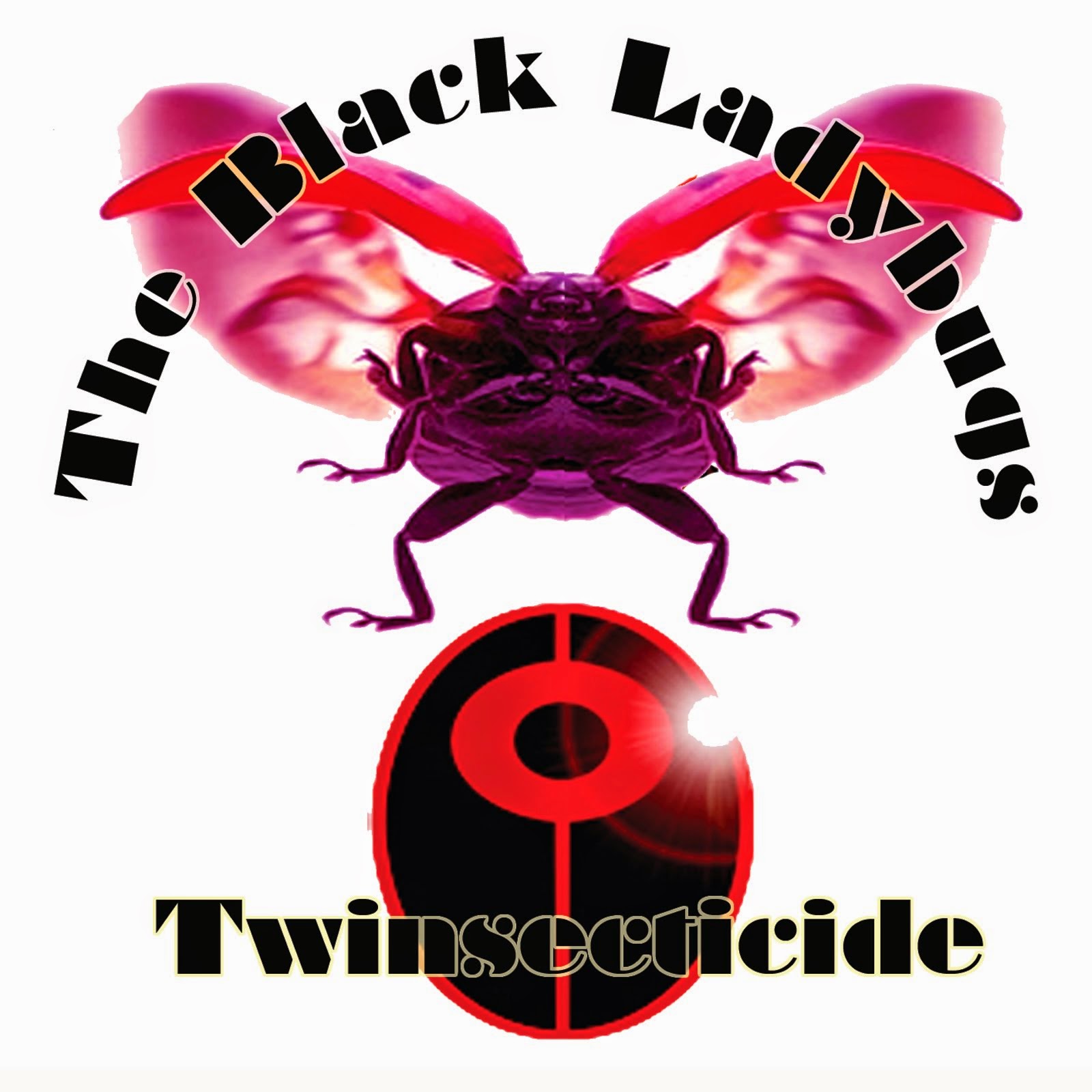 THE BLACK LADYBUGS
