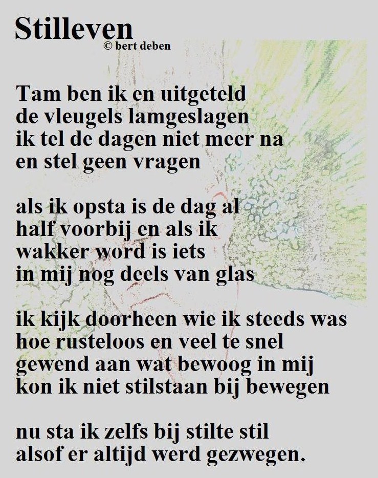 gedicht toon hermans bloem genoeg vriendschap gedicht toon hermans ut65 belbin info gedicht toon hermans bloem genoeg vriendschap gedicht toon hermans ut65 belbin info