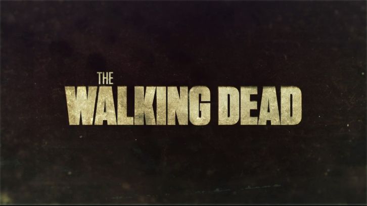 The Walking Dead - Now - Advance Preview