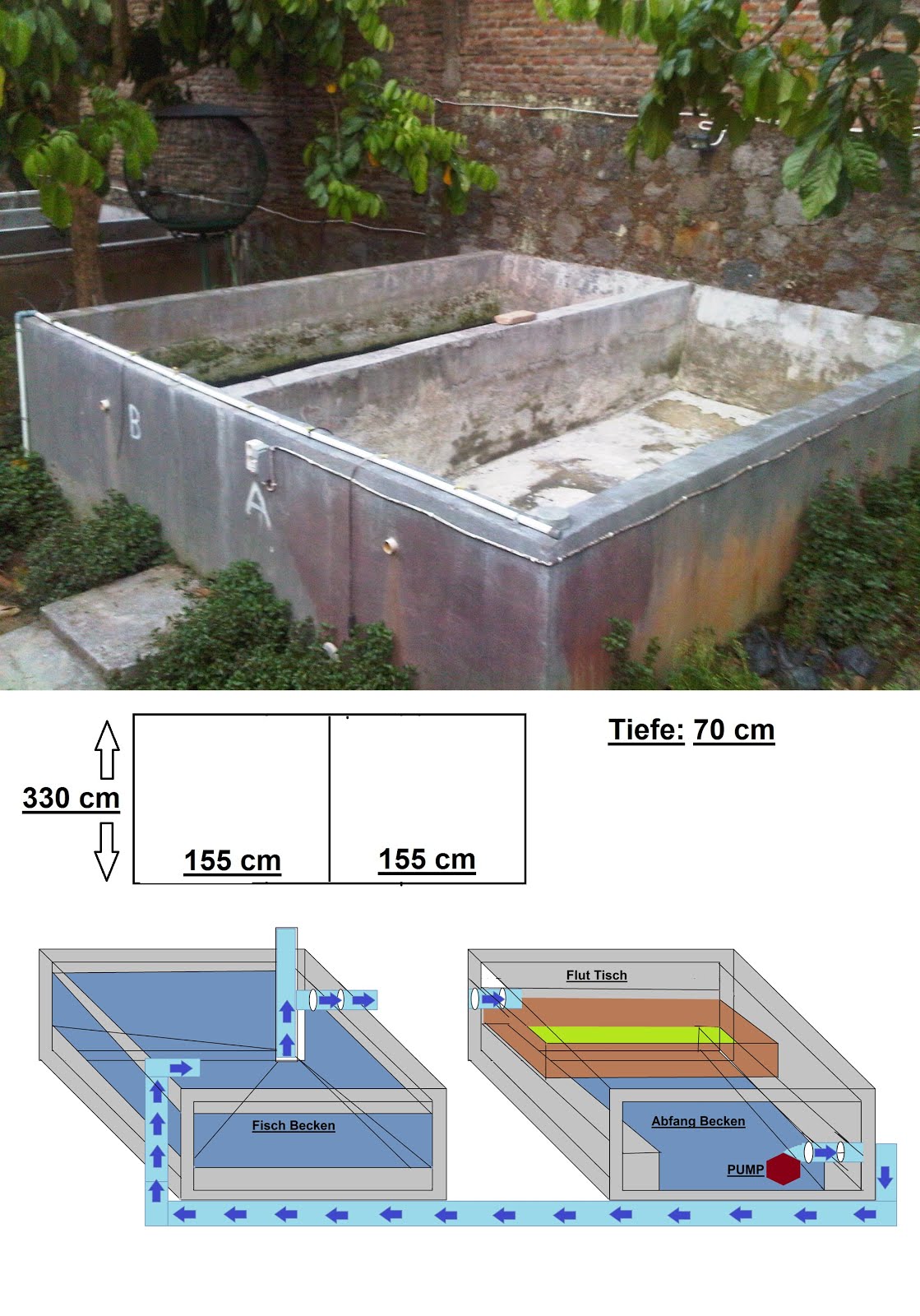 [Bild: rechts2.jpg]