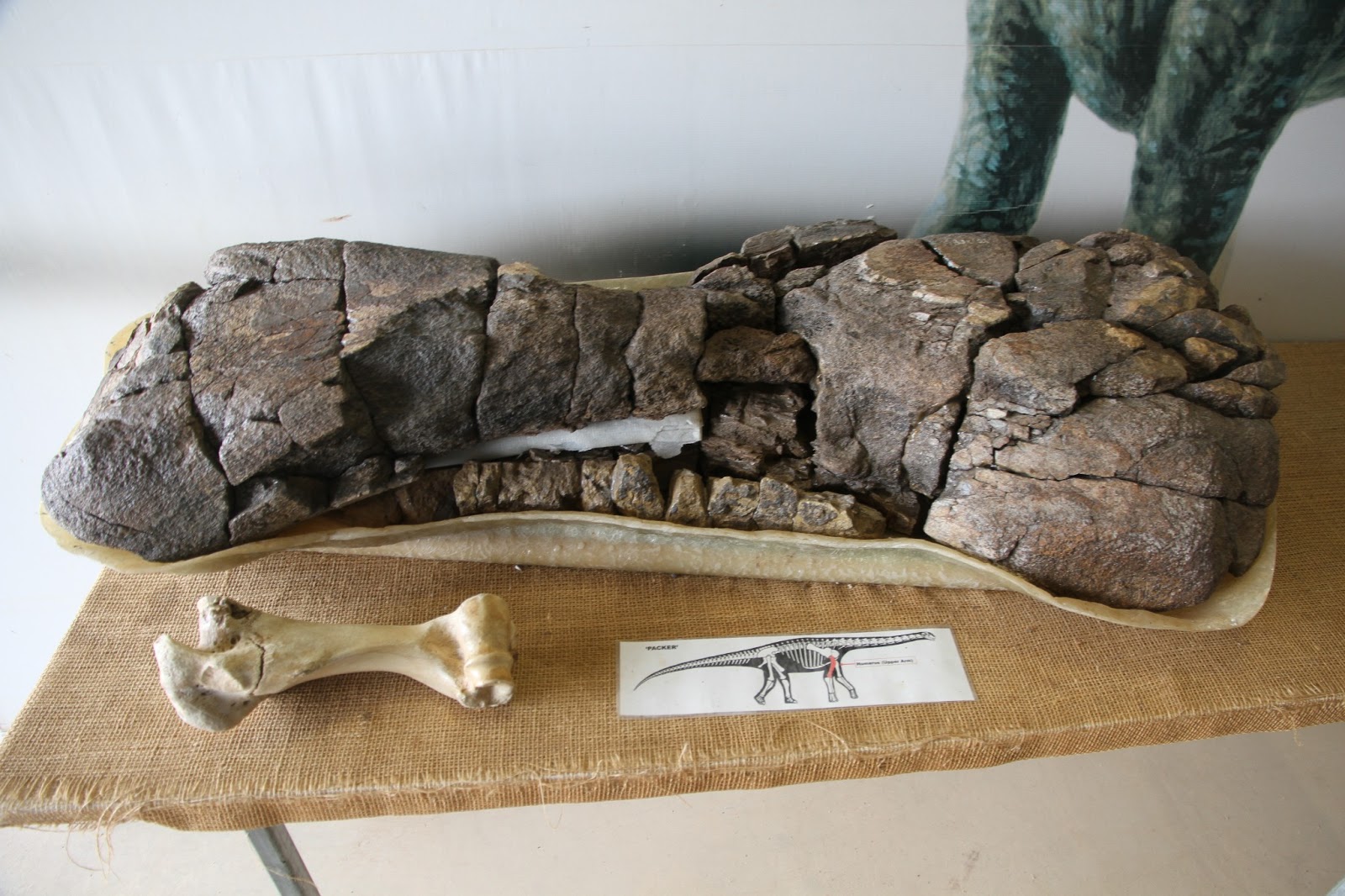 Mine Musings Dinosaur Triangle Queensland