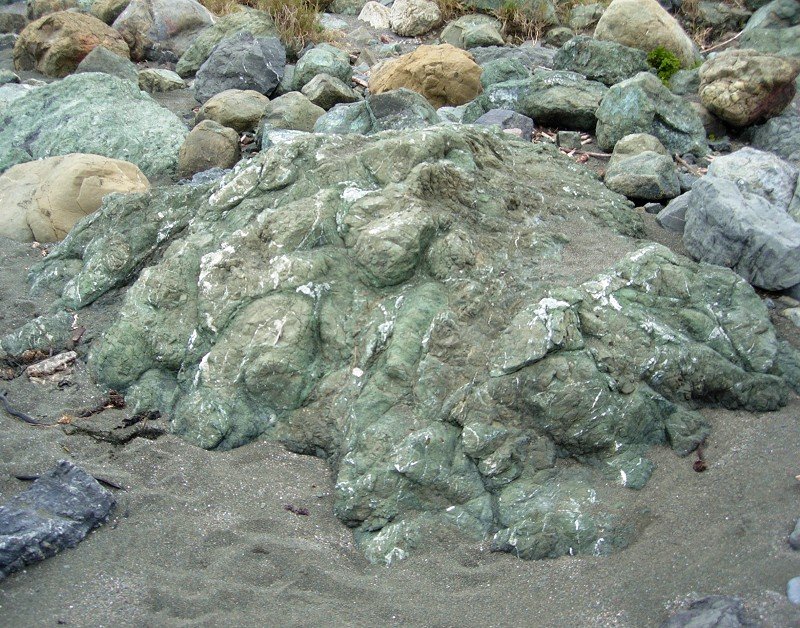 In the Company of Plants and Rocks A Notable and Mysterious Rock