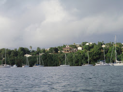 View from the bay above QS