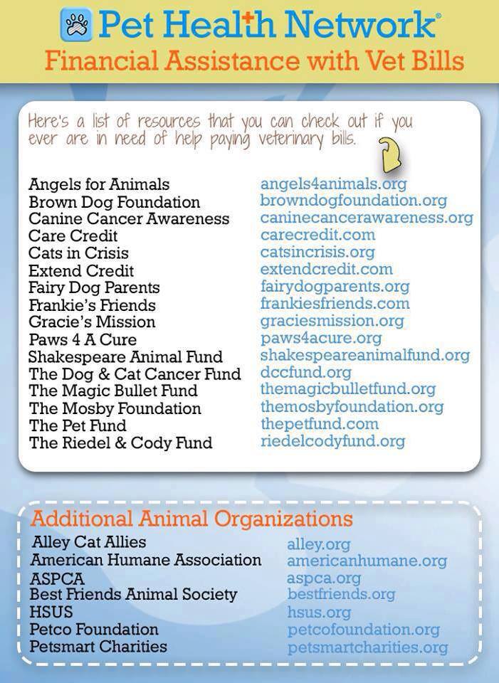 The Teacher's Pets Financial Assistance Resources to Help You Afford