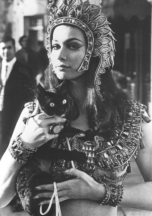 actress cat in blood lisa papineau actresses with cats actress cat in blood lisa papineau actresses with cats