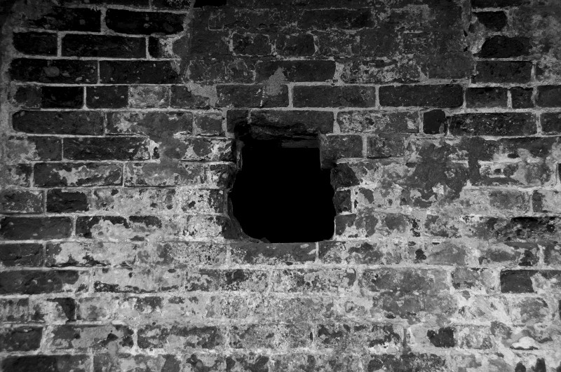 Sabine Hossenfelder Backreaction Black holes and academic walls