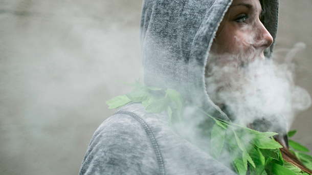 Alasca vai votar sobre legalização da maconha em 2014 Alasca vai votar sobre legalização da maconha em 2014