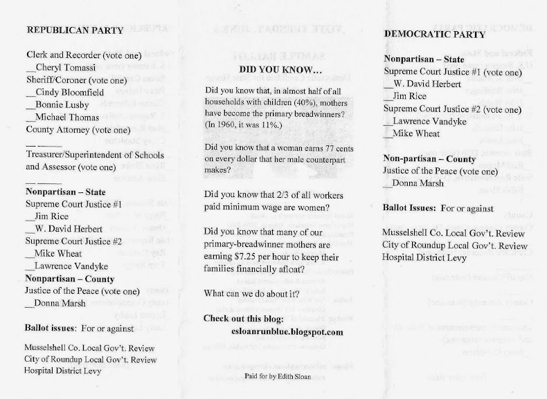 Back of flyer with ballot