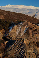 Tosal del Cartujo y arenales del Trevenque