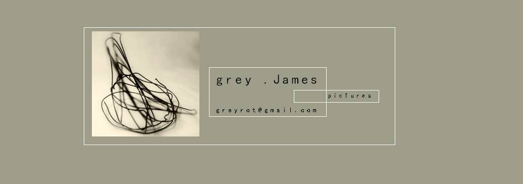 grey james pics