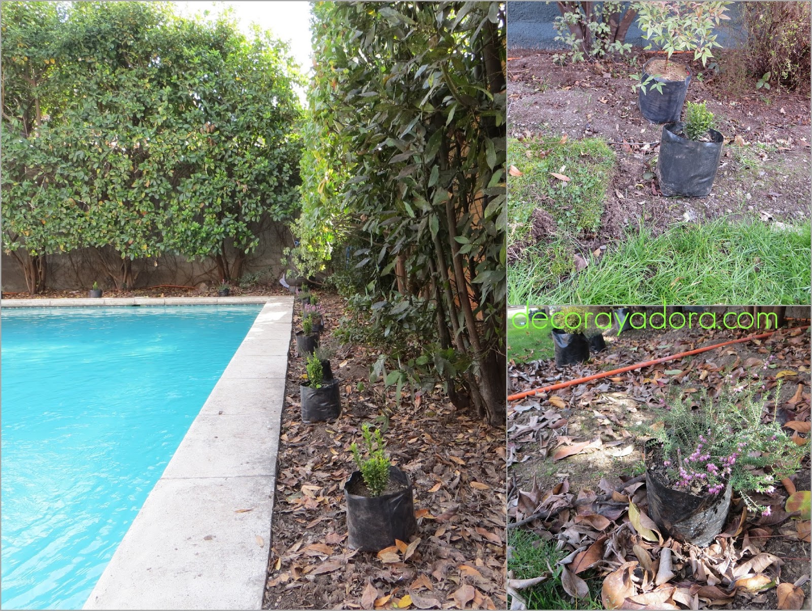 decora y adora: rehaciendo mi jardín parte 3