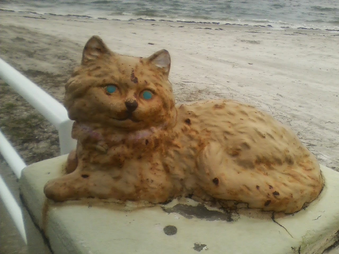 Morris the casino cat