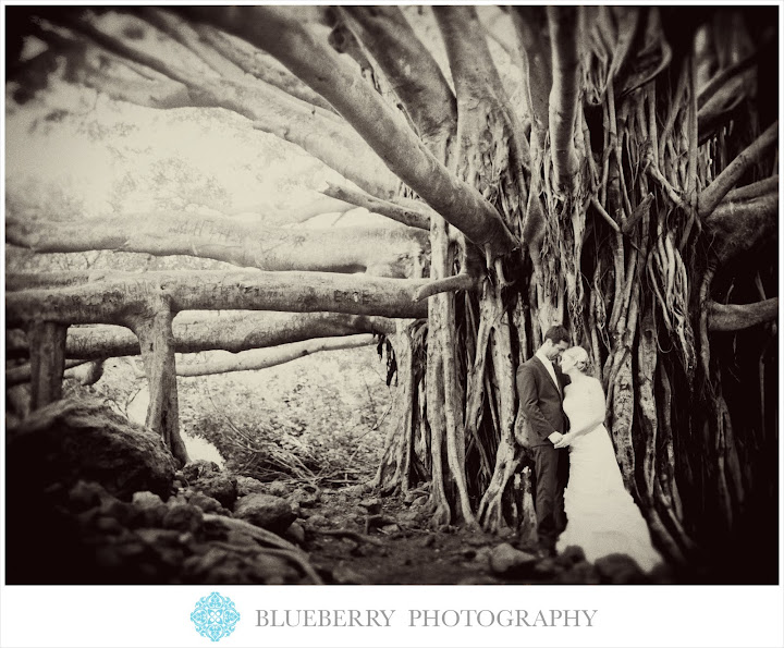 Beautiful road to hana maui hawaii day after wedding photography session