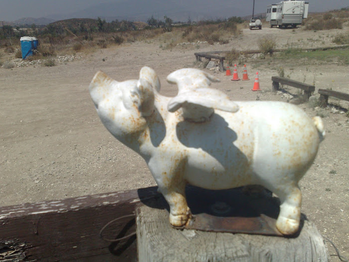 marshals club mascot