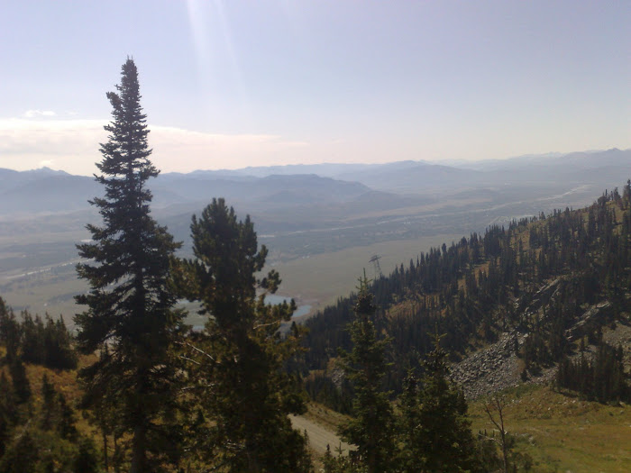 the glider eating trees on launch at jacson hole wyoming