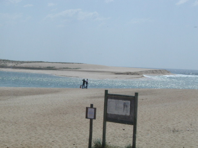 [EPSN0115.JPG]