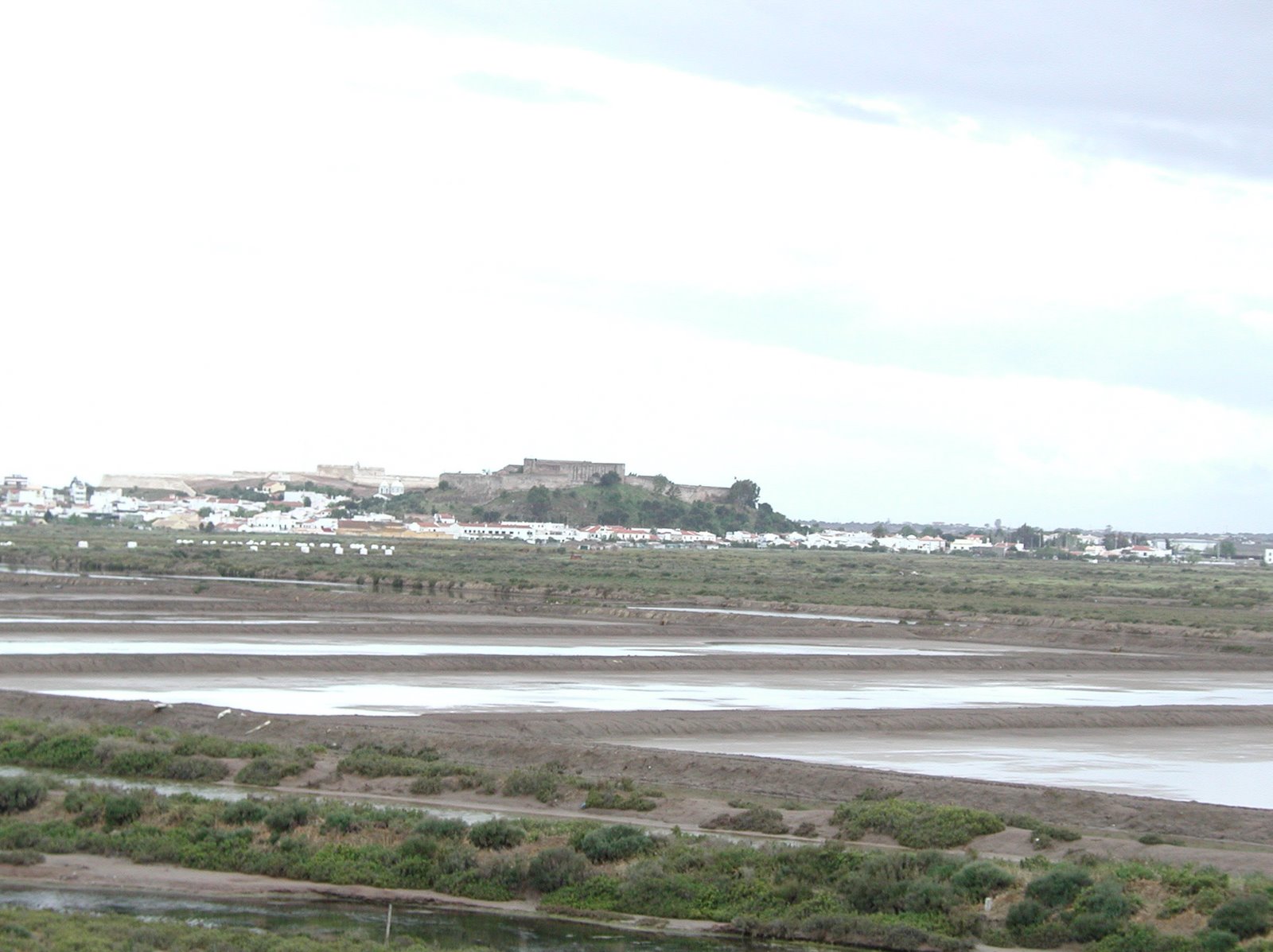 [EPSN0036.JPG]