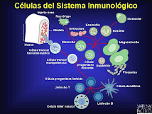 CÉLULAS DEFENSIVAS