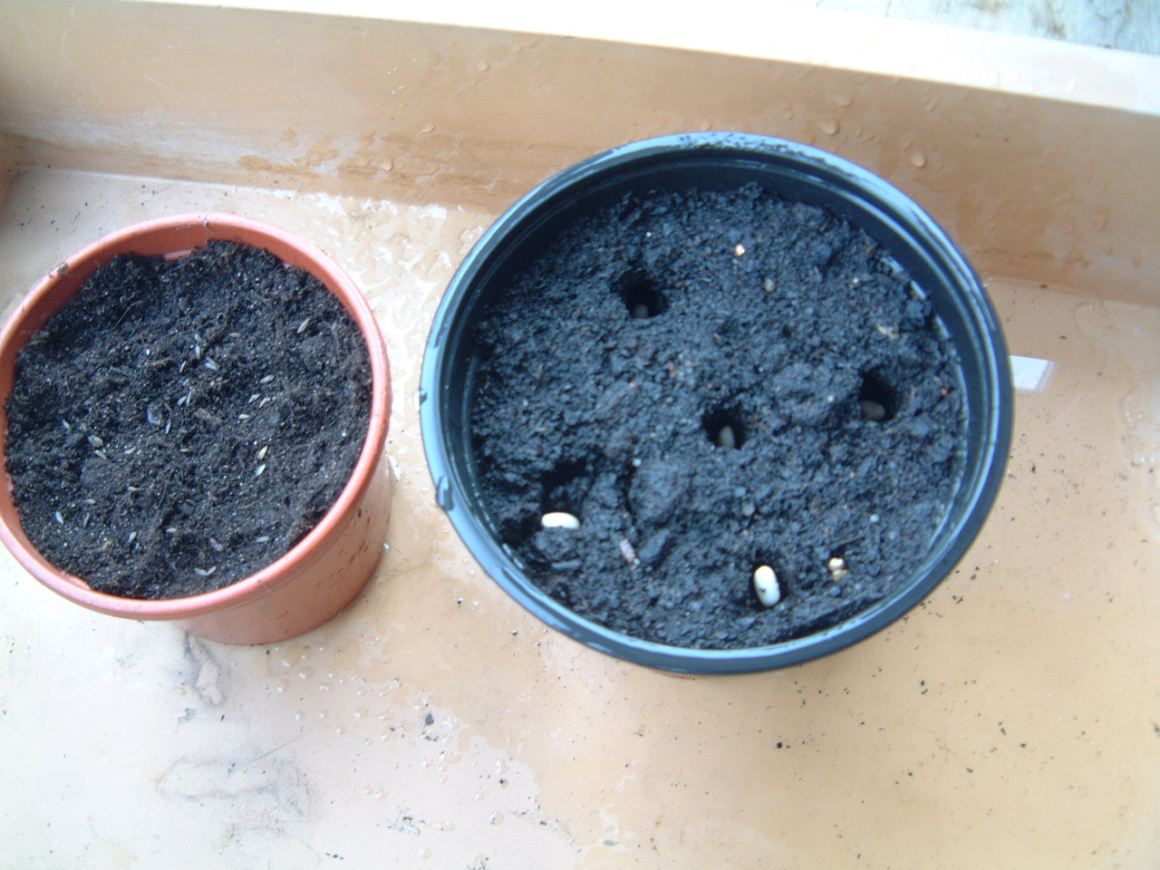 [2010-03-03+DSCF0237.JPG]