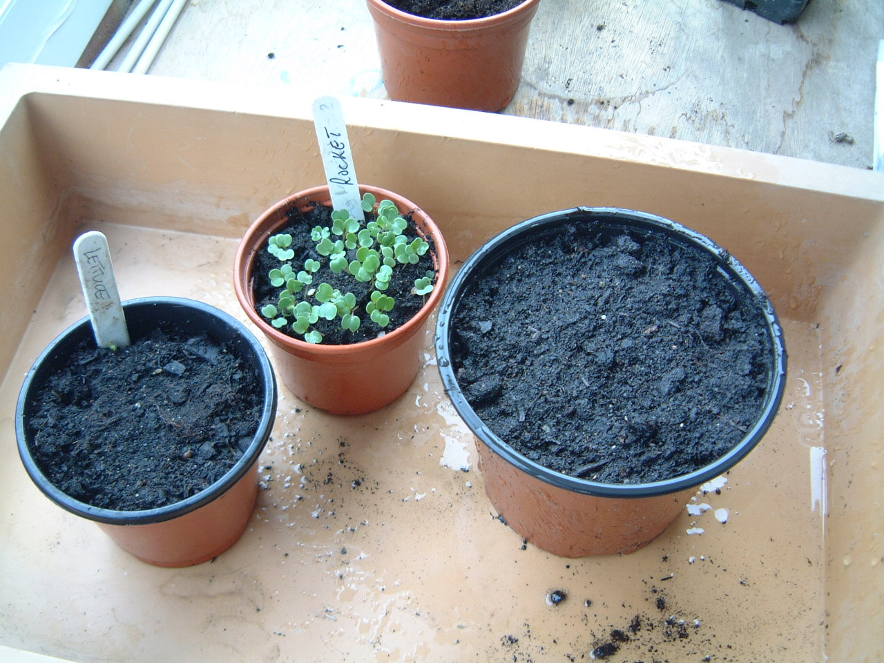 [2010-03-03+DSCF0238.JPG]