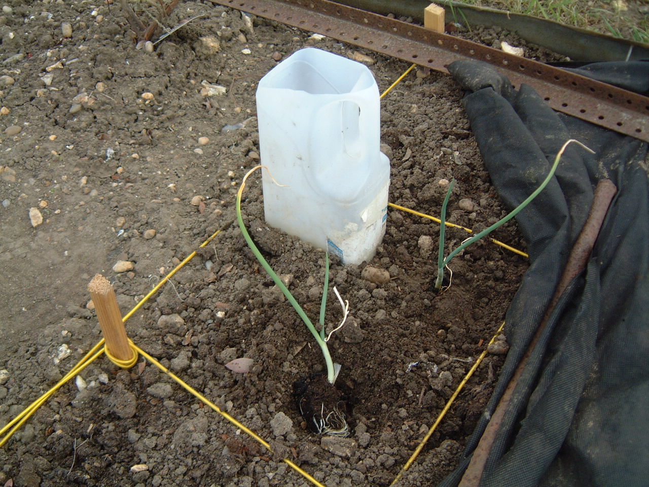 [2010-03-15+DSCF0249.JPG]