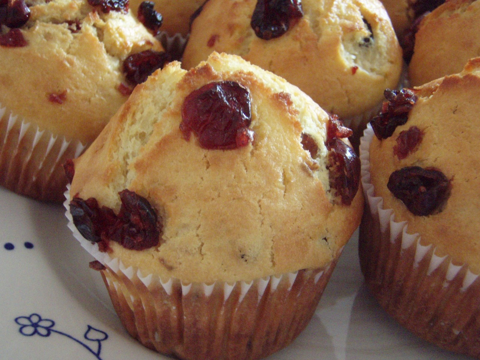 [Canberry+Muffin+291107+042.jpg]
