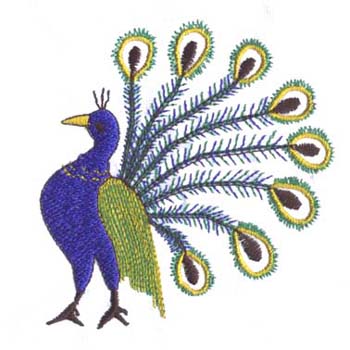 [peacock5.jpg]