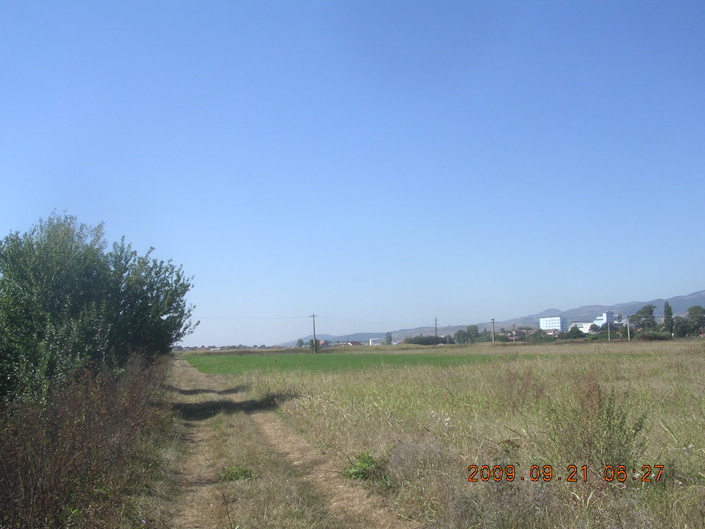 [DSCN5820.JPG]