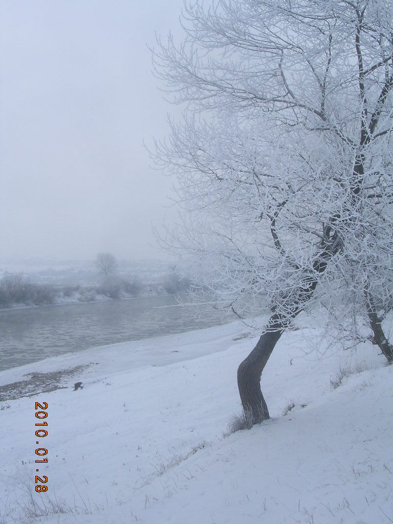 [DSCN7599.JPG]