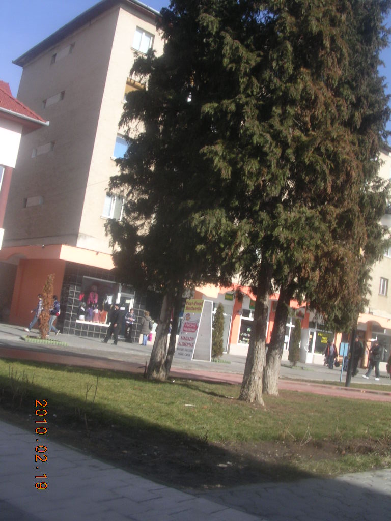 [DSCN7773.JPG]