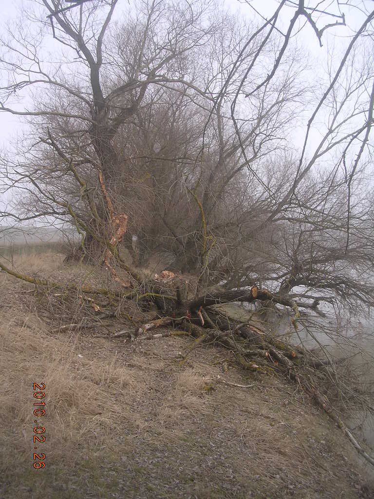 [DSCN7839.JPG]
