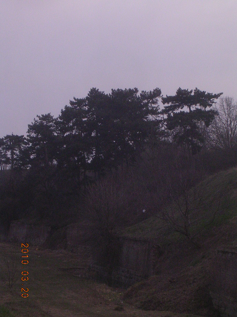 [DSCN7895.JPG]