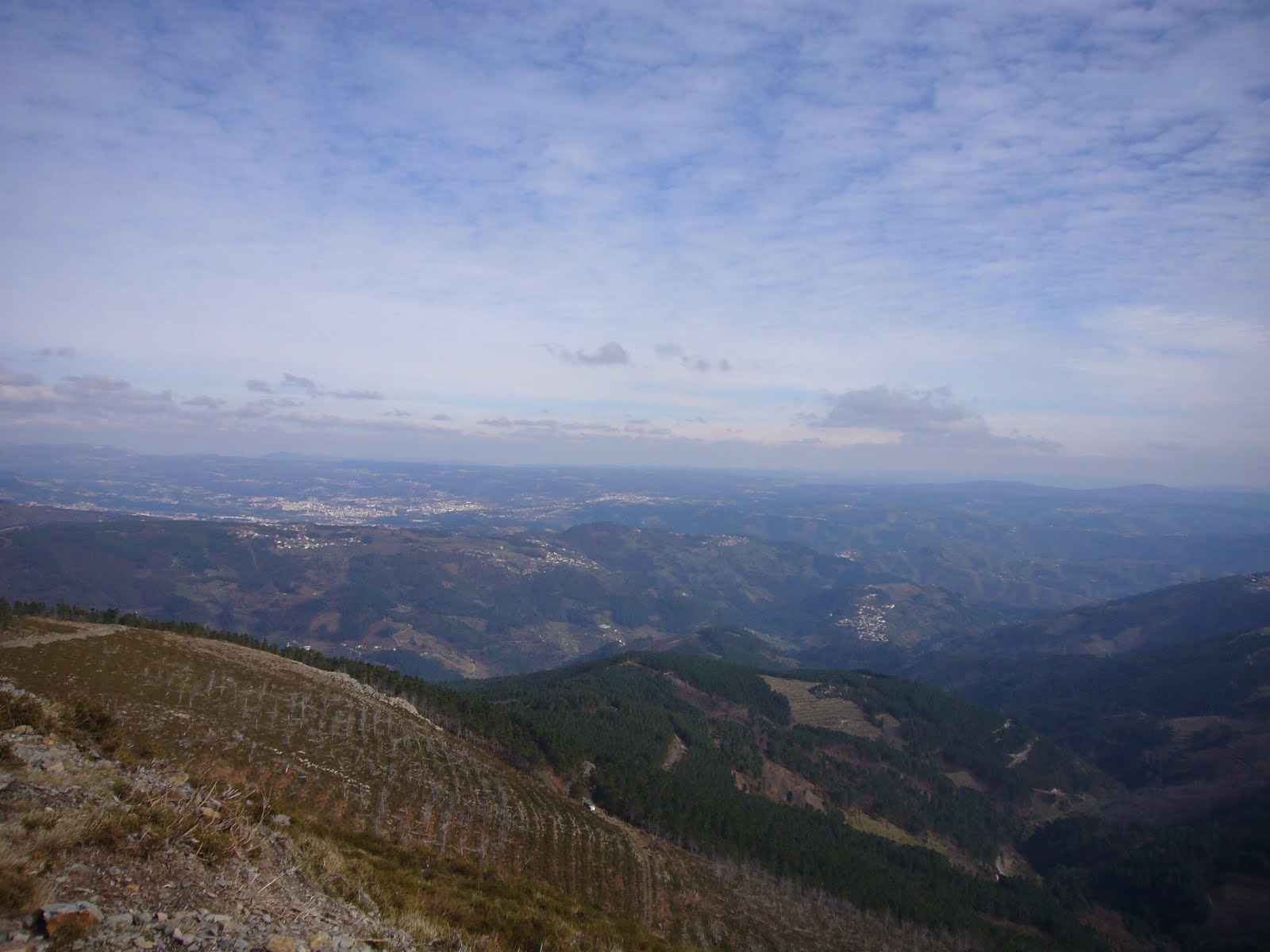 [P1210013.JPG]