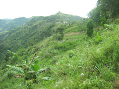 A mountain farm in Lubo, near Sudlon 2