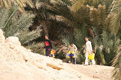 Lleixiu D.O. Chebika