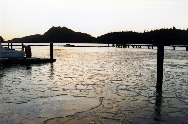 La calme de l'hiver